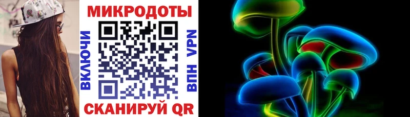 где купить наркоту  Кондрово  Галлюциногенные грибы Psilocybe 